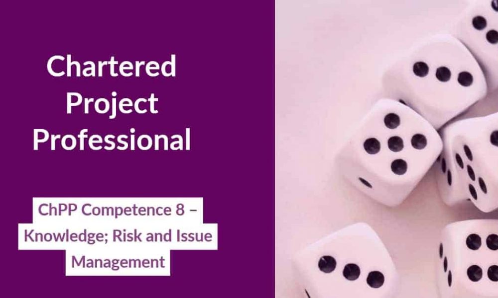 ChPP risk and issue management