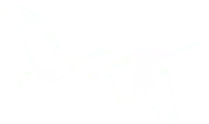 Parallel Project Training logo